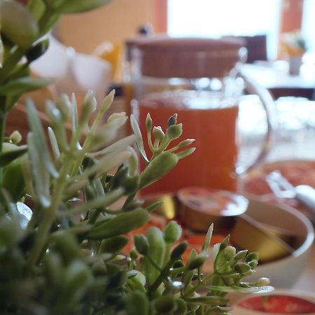 안포 Garden View B&B 외부 사진